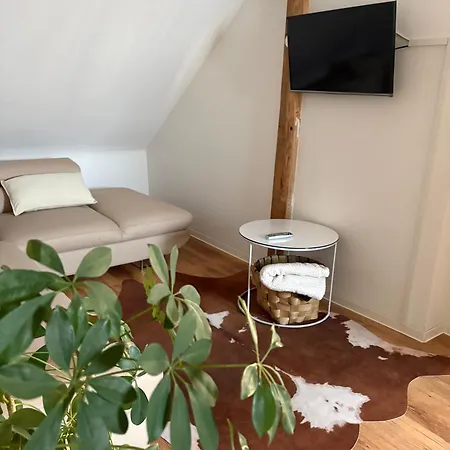 Modern Bebra